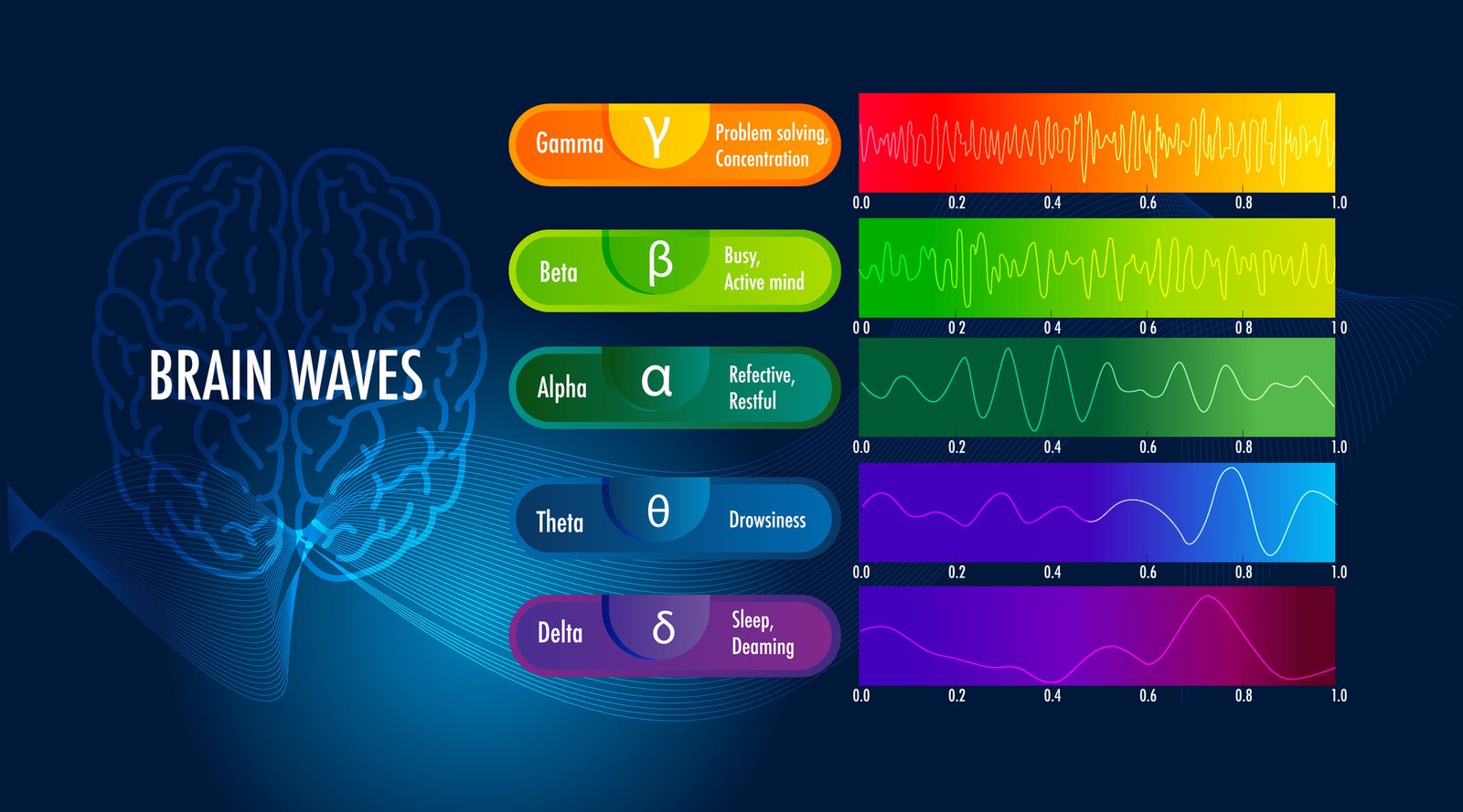 Understanding Brainwaves: The Rhythms of Consciousness